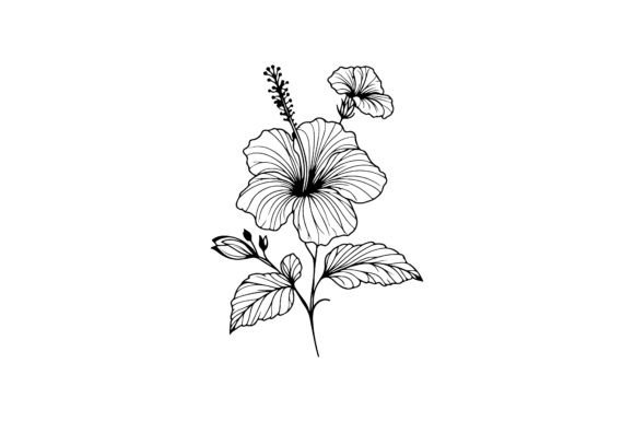 The Strategic Value of Hibiscus Flower Outline Vectors in Modern Visual Communication