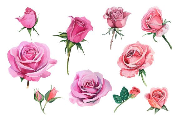 Understanding the Watercolor Pink Rose Flower Bouquet: Art, Symbolism, and Modern Application